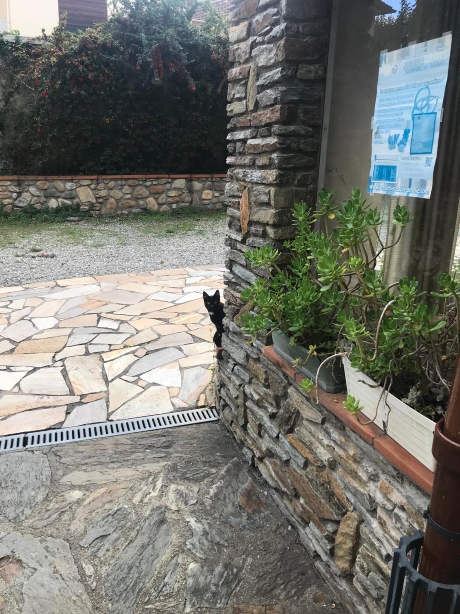 Hébergements à La Rive, Accueil ouvert tous les jours jusqu'à 20h00 dernier délai, depuis 29 ans ! Réserver ici svp ! Merci ! Aucun règlement à distance accepté, Paiement par CB, Espèces, Chèque ou Chèques-Vacances impérativement à la remise des clef Amélie-les-Bains-Palalda Extérieur photo