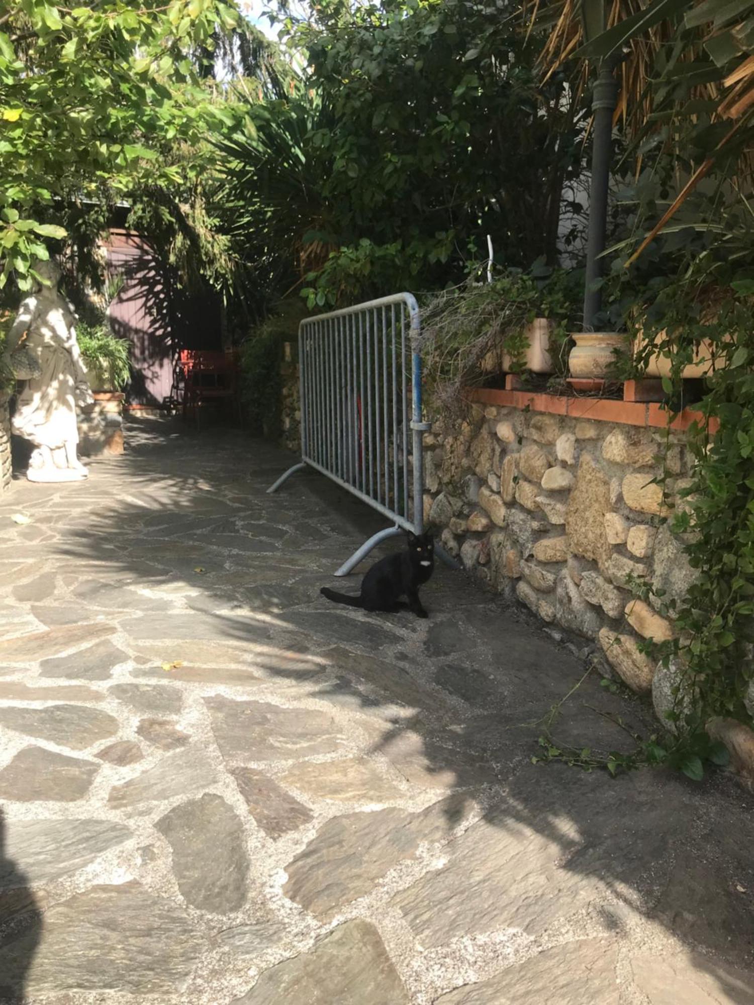 Hébergements à La Rive, Accueil ouvert tous les jours jusqu'à 20h00 dernier délai, depuis 29 ans ! Réserver ici svp ! Merci ! Aucun règlement à distance accepté, Paiement par CB, Espèces, Chèque ou Chèques-Vacances impérativement à la remise des clef Amélie-les-Bains-Palalda Extérieur photo
